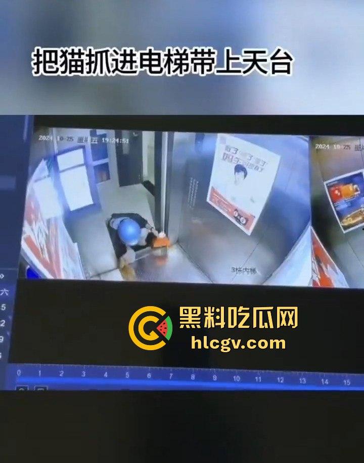 长沙外卖员丧心病狂虐猫！抓猫从26楼扔下当场摔死！-5