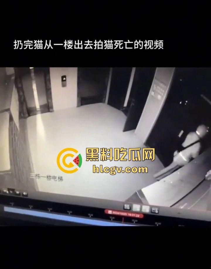 长沙外卖员丧心病狂虐猫！抓猫从26楼扔下当场摔死！-6