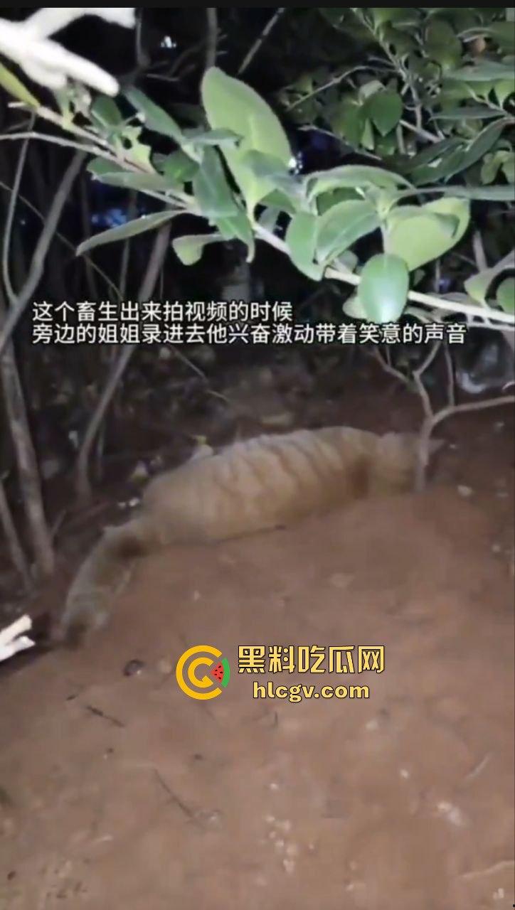 长沙外卖员丧心病狂虐猫！抓猫从26楼扔下当场摔死！-7
