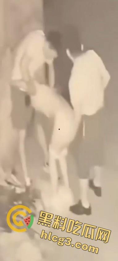 山东师范大学美女学生『薛菲』街头醉酒后被两人拉至路边强奸  被两男子插嘴后入-10