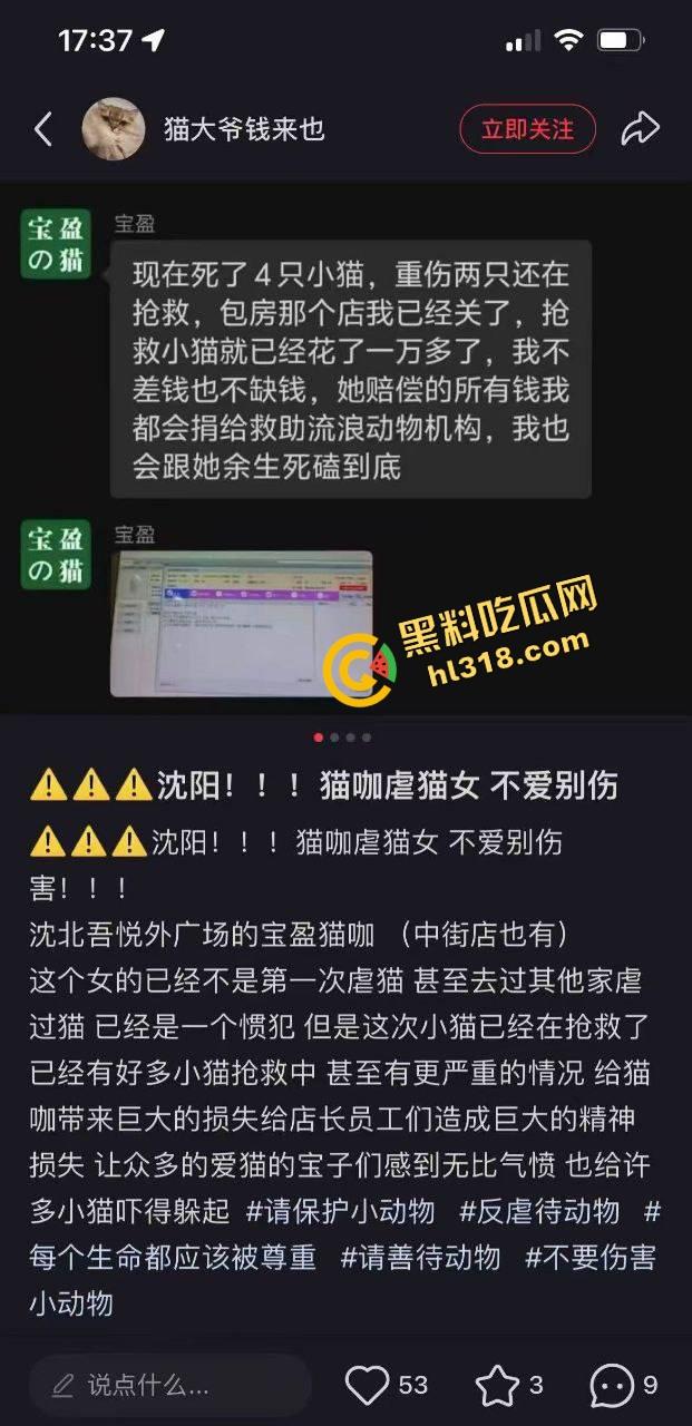 沈阳猫咖惊现女魔头虐猫狂魔，4只奶猫惨死2只重伤，老板怒曝监控报警，宠物圈集体避雷！-1