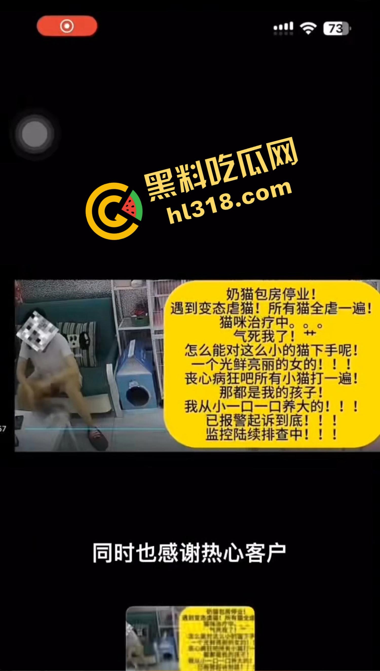 沈阳猫咖惊现女魔头虐猫狂魔，4只奶猫惨死2只重伤，老板怒曝监控报警，宠物圈集体避雷！-5
