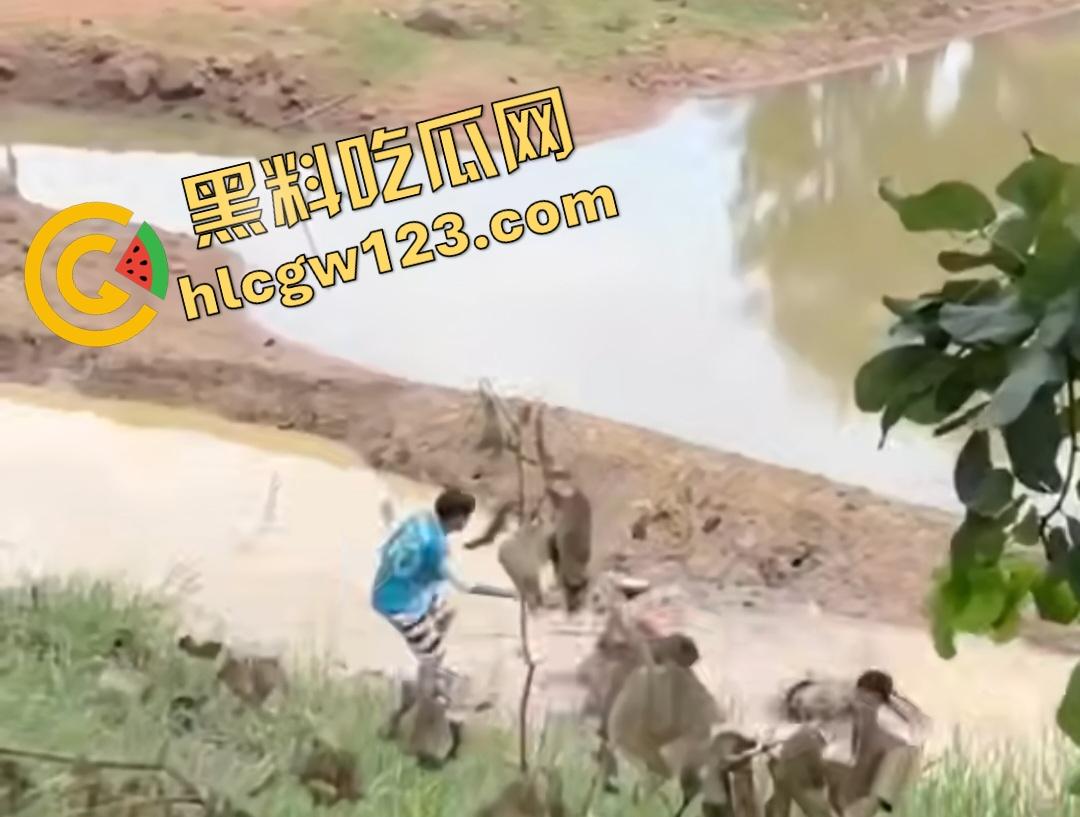 印度小哥翘屁股挑衅精神小伙被操翻！群殴打得满地找牙，警察来了也在一旁看戏！-1