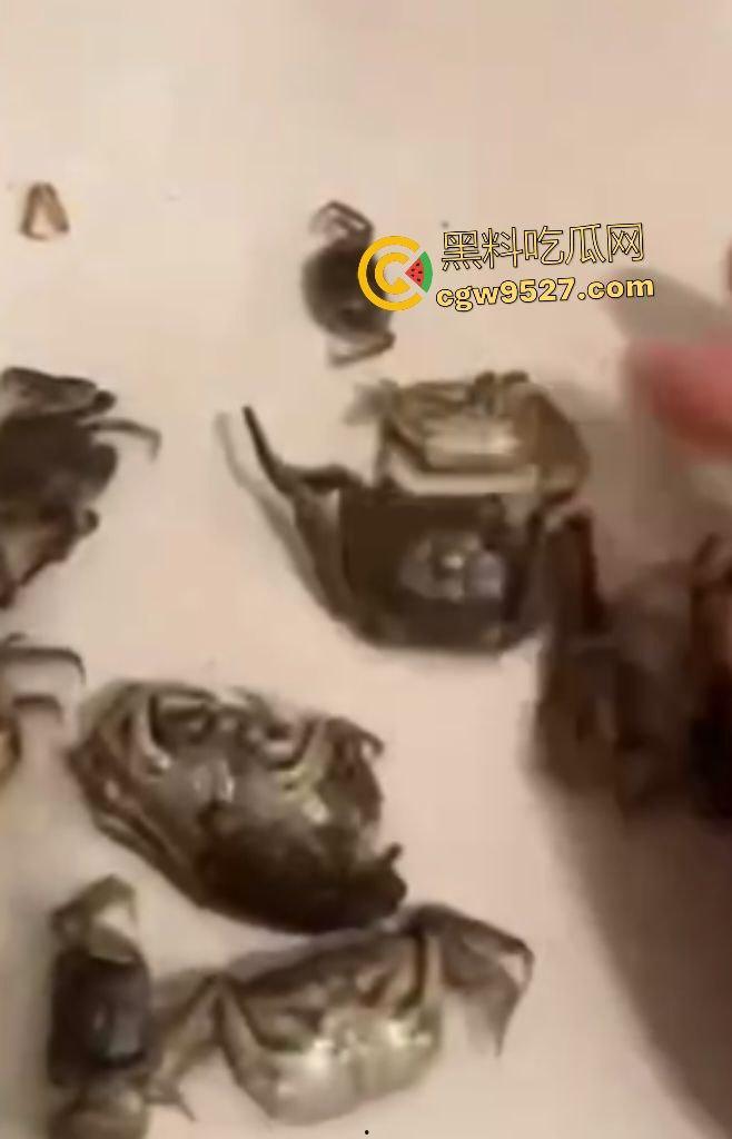 拼多多直播间骗人？69.99元20只“蟹黄满满”大螃蟹翻车！到手拇指大小，网购梦碎，再也不相信网购了！-6