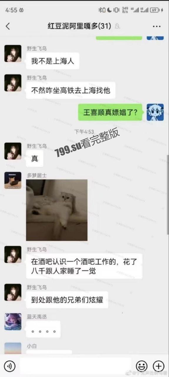 B 站百大主播 CSGO 王喜顺 家暴嫖娼被女友曝光 （附录音聊天记录）-2