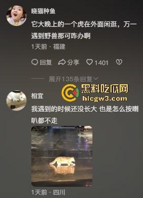司机遇东北虎赖在公路上，喇叭按了几遍，结果虎王连动都不动，这哪是动物简直是路霸！-8