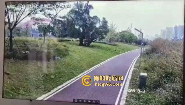 江西赣州母女在公园散步被四条野狗攻击撕咬，扯下来的肉被吃掉，暴露性伤口可以塞进一只手-14