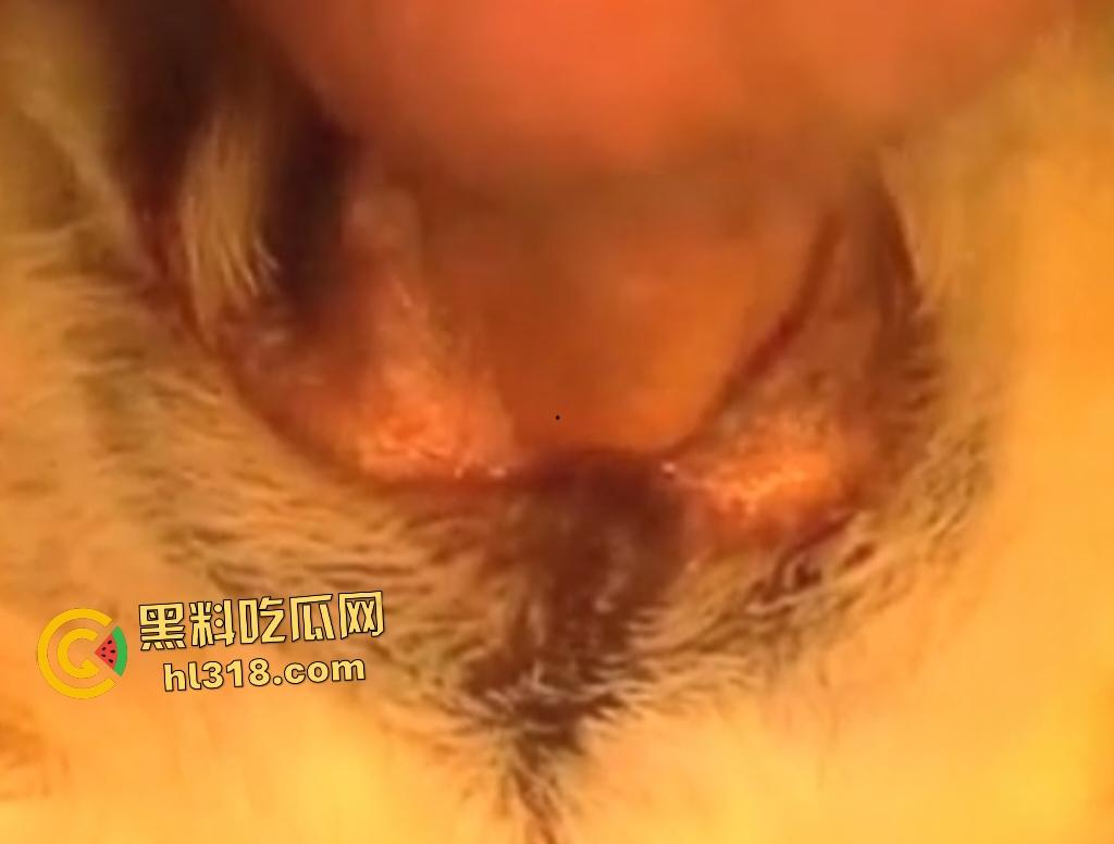 狂野男人与忠犬上演人兽激情！人与狗交欢，传教士式把狗压在身体下，这才是真的操母狗！-3