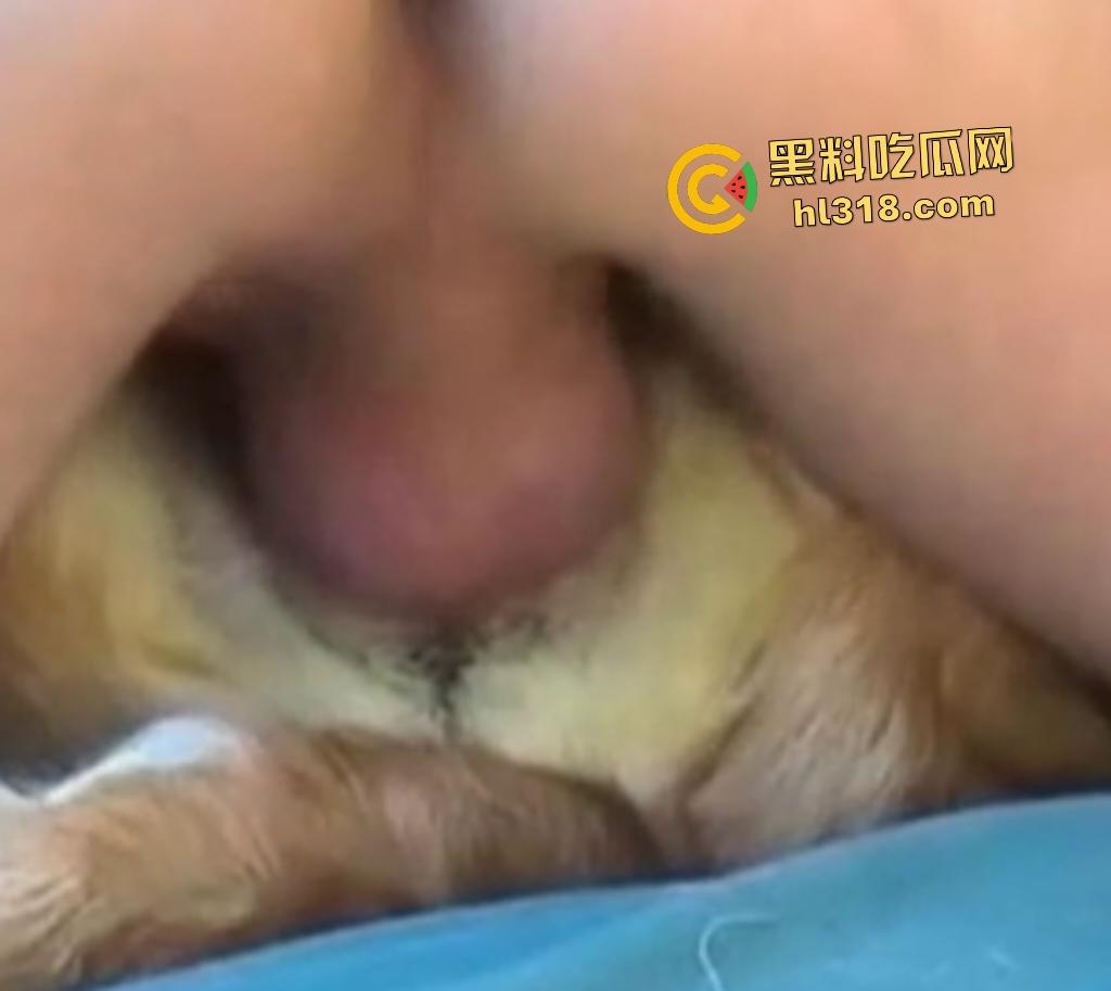 狂野男人与忠犬上演人兽激情！人与狗交欢，传教士式把狗压在身体下，这才是真的操母狗！-6