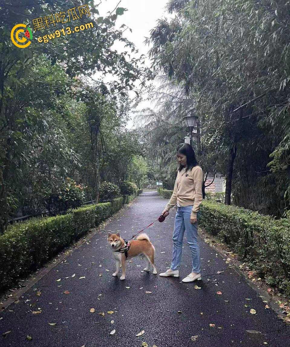 云南省红河州【夏颖】，体制内清纯形象崩塌，各种情趣制服齐上阵，风骚少妇被无套调教玩弄 ！-2