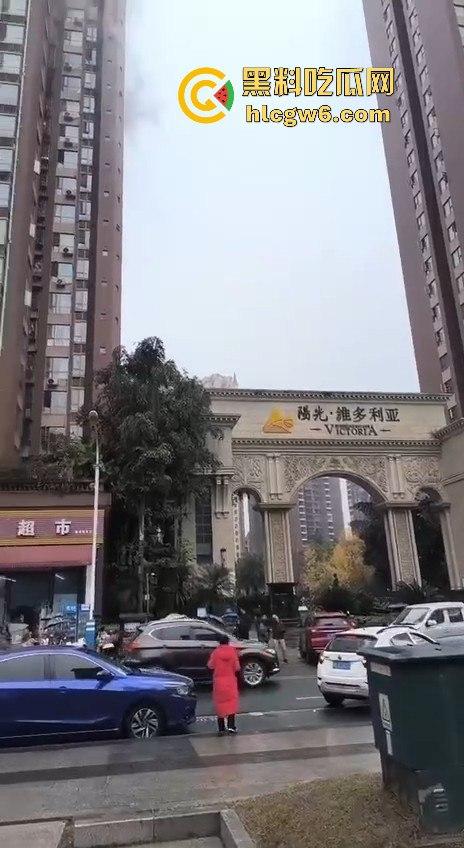 四川乐山峨眉维多利亚小区突发火灾,火灾具体什么原因引起的待确定中，出门在外一定要做好防火。-8