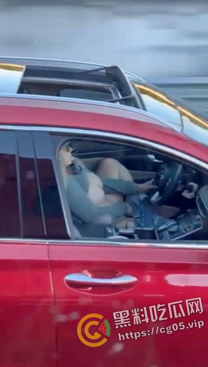 速度与激情！高速上边开车边自慰 不愧是女司机 玩的就是狠活-3