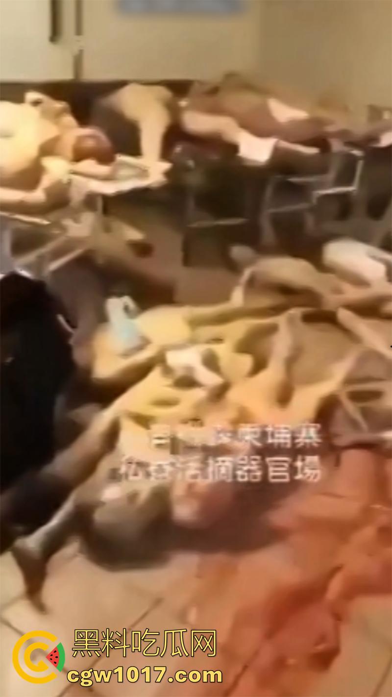 柬埔寨器官交易场实拍，猪仔狗推的最终贩卖地，难怪这里每个人都值钱，只要血型匹配有买主，立刻就会被拉走！-5