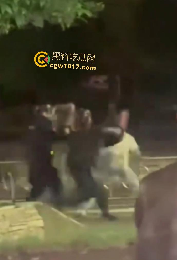 达州街头“刀皇”用菜刀袭警，小冲突变警匪大戏，警车撞击刀皇还能立马站起来，女友抱腿才能制服，太牛逼了！-3