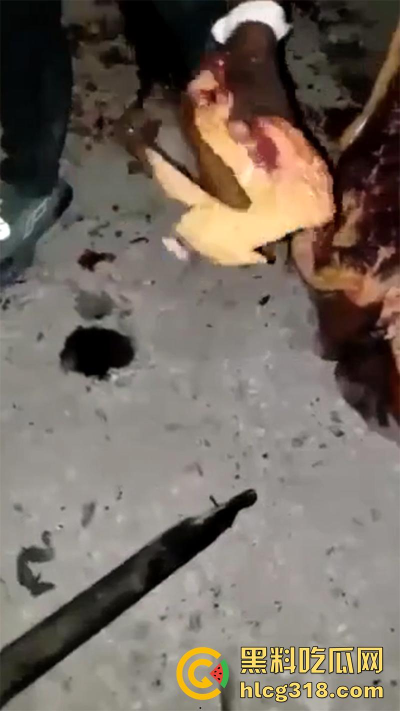 非洲大奶黑妹被砍断双手，棍棒砸扁头杀害后，被一群男子当场分尸割肉，还有人拿棍捅逼，真变态啊！-6