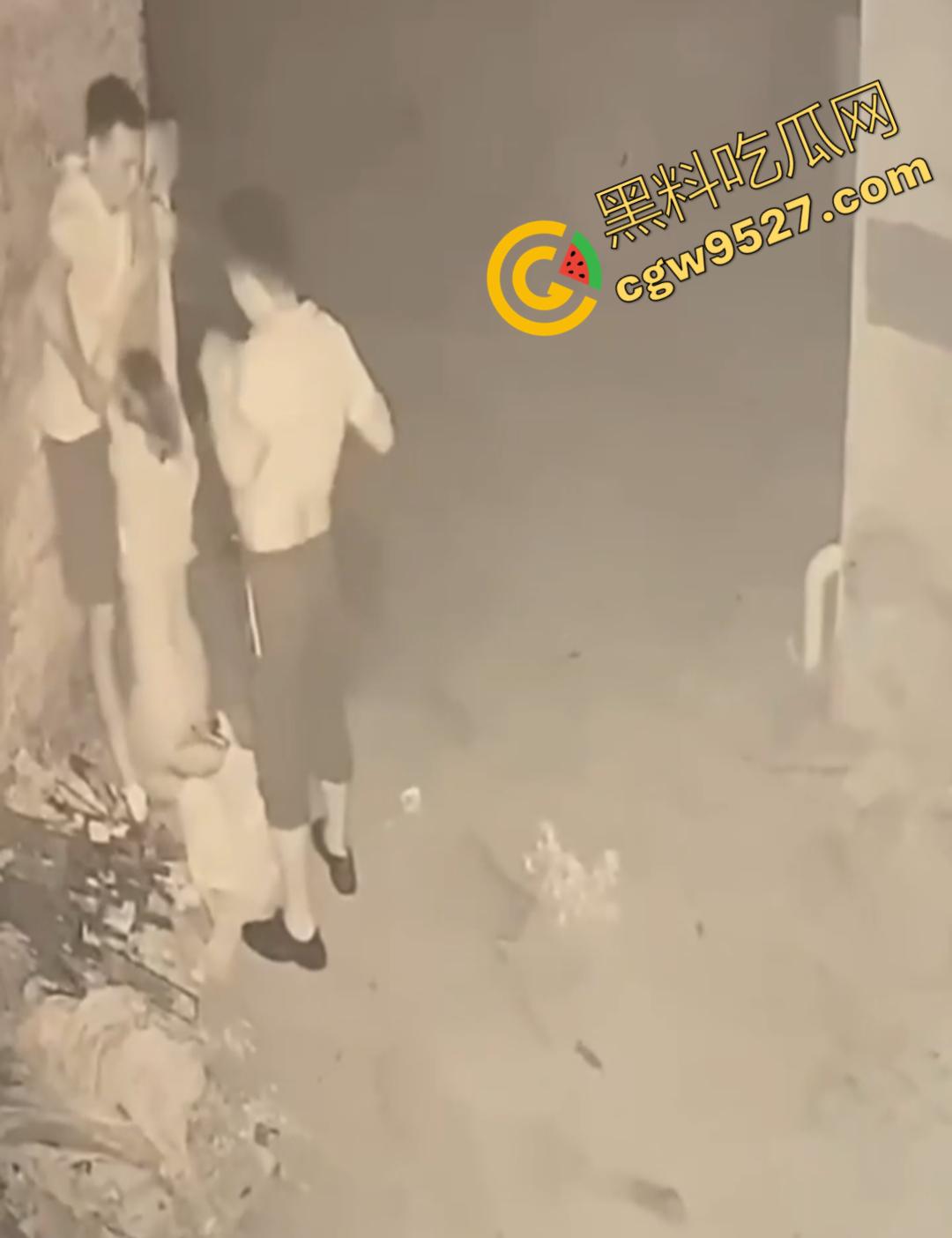 山东女子醉路边惨遭两男子轮奸！两男子色胆包天激情3P被监控全程记录，路过行人震惊不已不敢直视-3