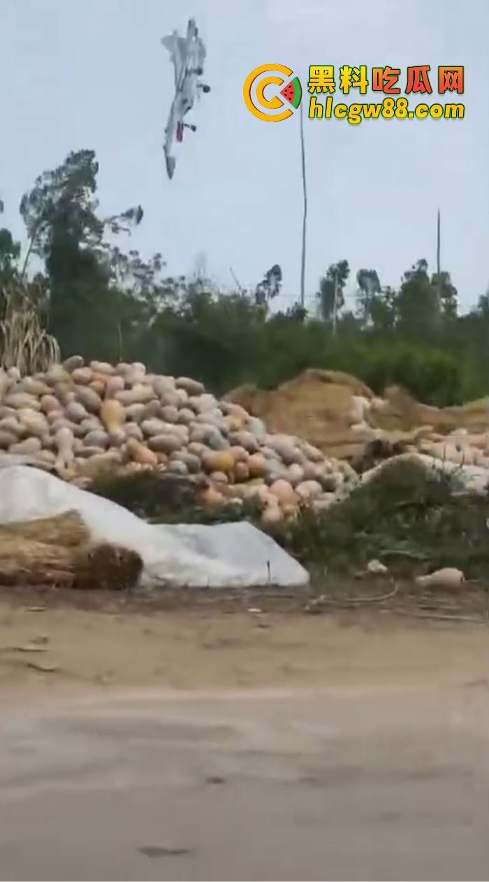 某战区海军战机海南训练失事，飞行员成功跳伞，战机坠毁临高县，所幸未造成地面损失！-10