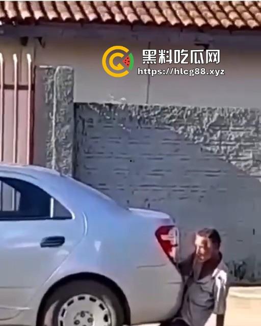 印度神奇的国度,大爷忘情与汽车排气管进行活塞运动 日了蜥蜴还能日排气管！-6