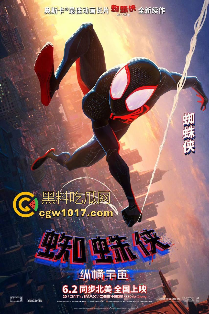 奥斯卡获奖动画片【蜘蛛侠：纵横宇宙】高清来袭！深受好评的影片，让我们走进去看看怎么回事！-6