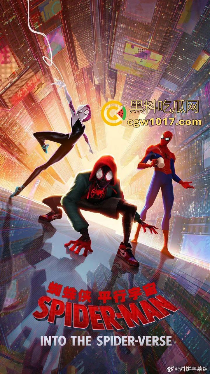 奥斯卡获奖动画片【蜘蛛侠：纵横宇宙】高清来袭！深受好评的影片，让我们走进去看看怎么回事！-7
