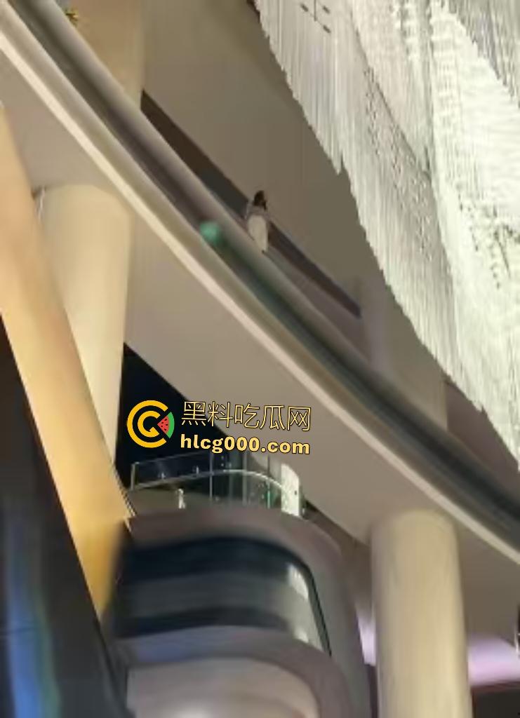 澳门金沙女子因欠下巨额赌债，在高楼跳楼，最后直接被消防人员一把拉下！-7