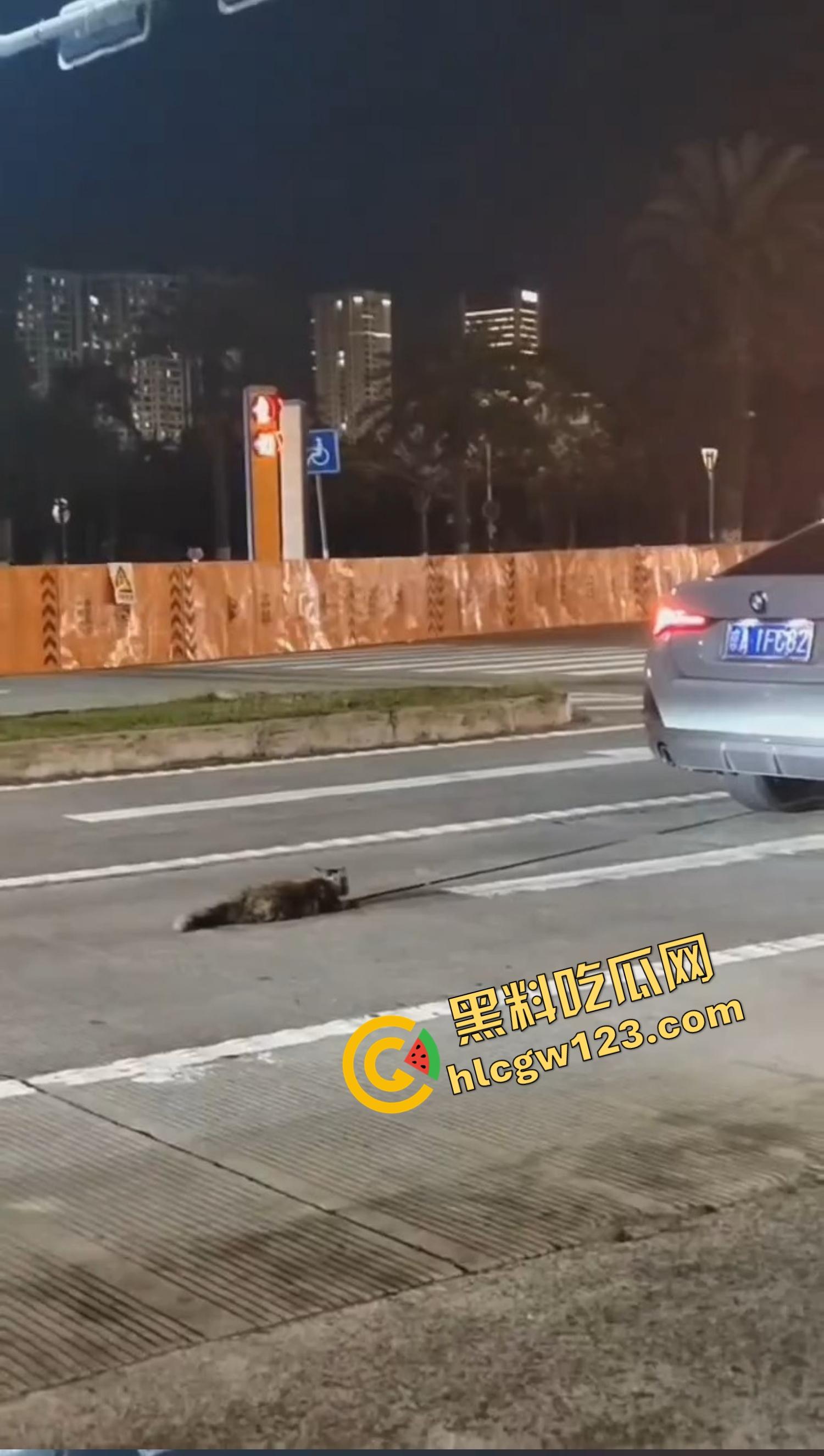 海南海口宝马车拖行小猫致死，群众当街怒吼追车，司机被围送派出所,这是碾压良知！-2