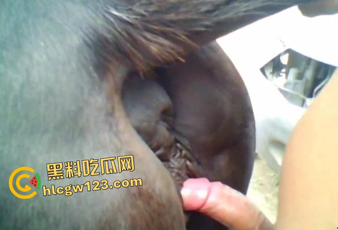 男人狂射母马体内没有一丝波澜！细屌爆操松垮马B，细屌连马都不屑-5