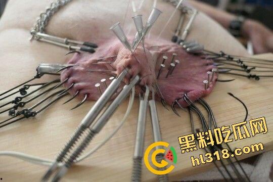 猎奇新高度，虐鸡阉割重口慎入，这才叫真蛋疼，鸡都不带哆嗦不把牛子当回事，瓜友你们怎么看？-16