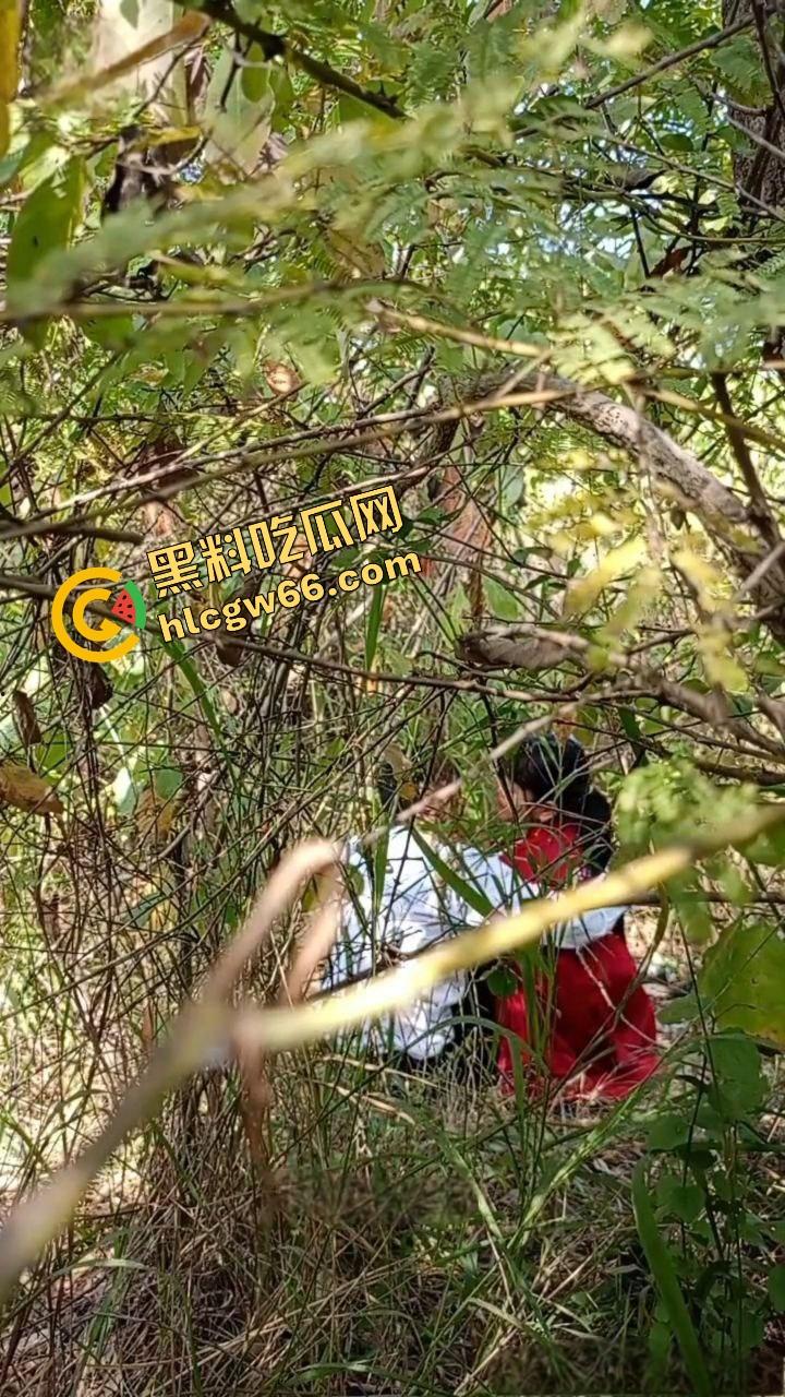 夏天的第一炮，小情侣树林野战开操果园大哥路过拍下全程，屁股抬得比桃子高，万物复苏逼也骚！-11