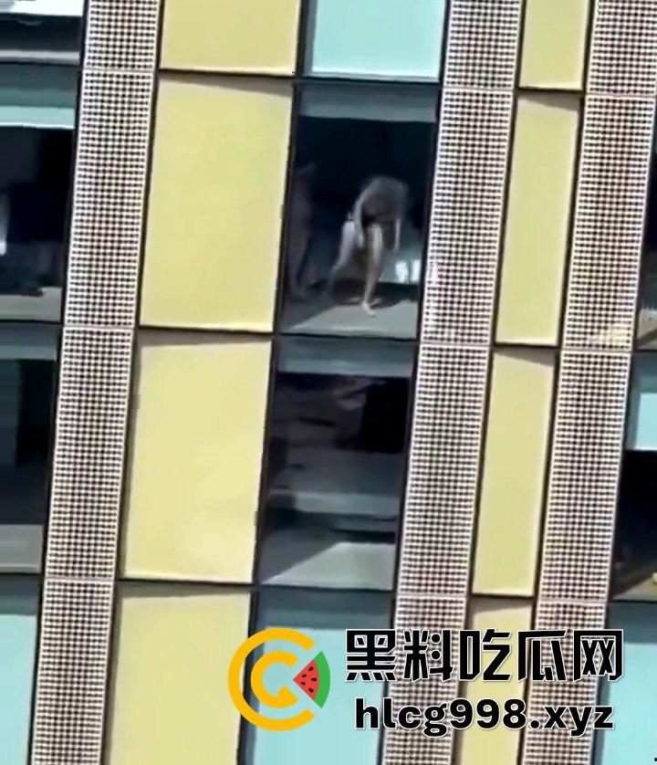 我嘞个骚刚！瓜友投稿酒店偷拍，激情后入到一半才发现是俩男的在搞！-1