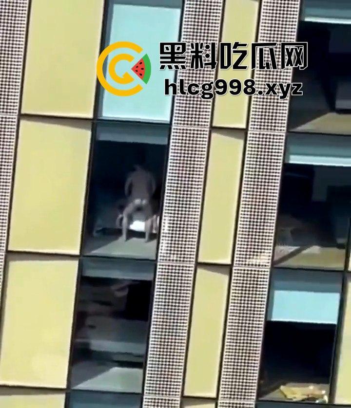 我嘞个骚刚！瓜友投稿酒店偷拍，激情后入到一半才发现是俩男的在搞！-7