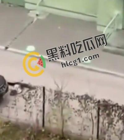 大连公安局交警支队政委张一辉在办公室九楼跳楼自杀，有人说畏罪自杀有人说被人所逼，瓜友们怎么看-4