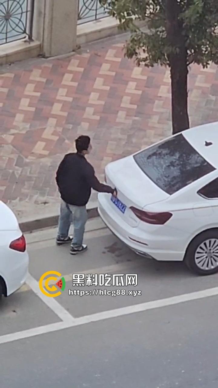 河南偷车小分队大白天开抢，一人爆车门硬撬，两傻逼骑小电驴望风，天网监控算个屁！-8