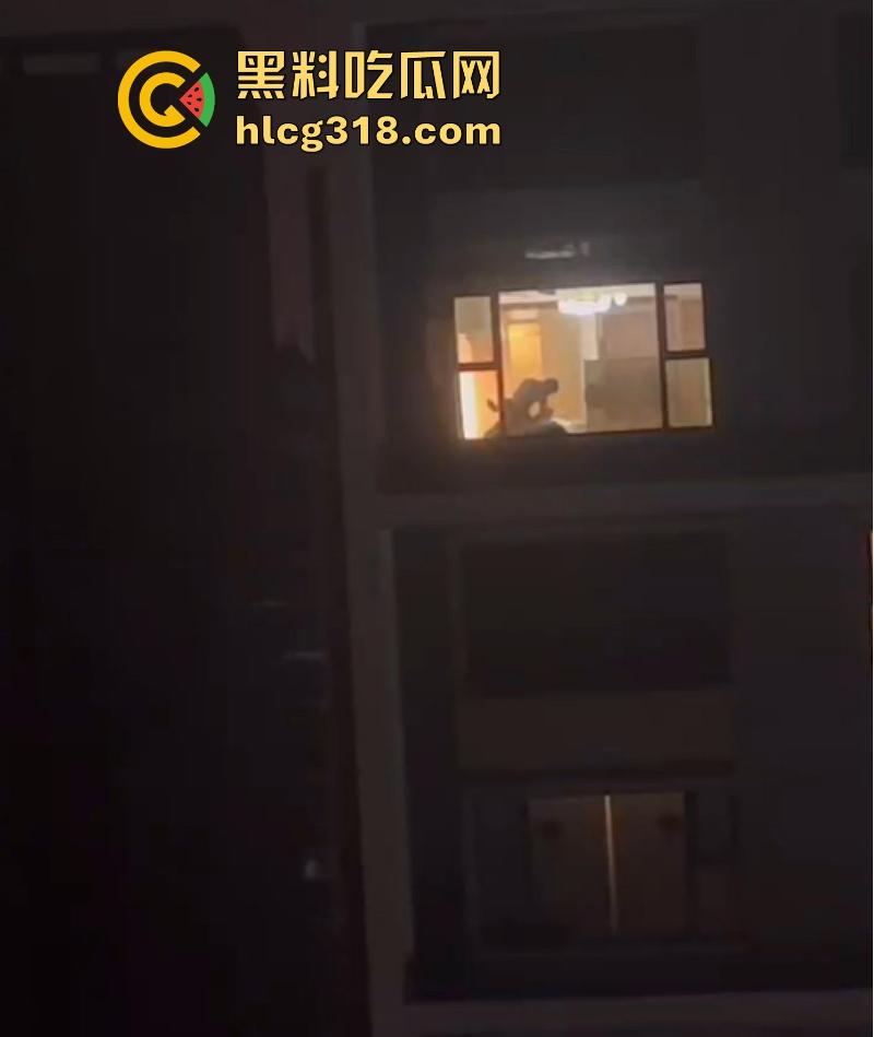 商务套房惊现落地窗前激情做爱！灯也不关窗帘也不拉 多种姿势爆操打桩不停 看得人饥渴难耐！-3
