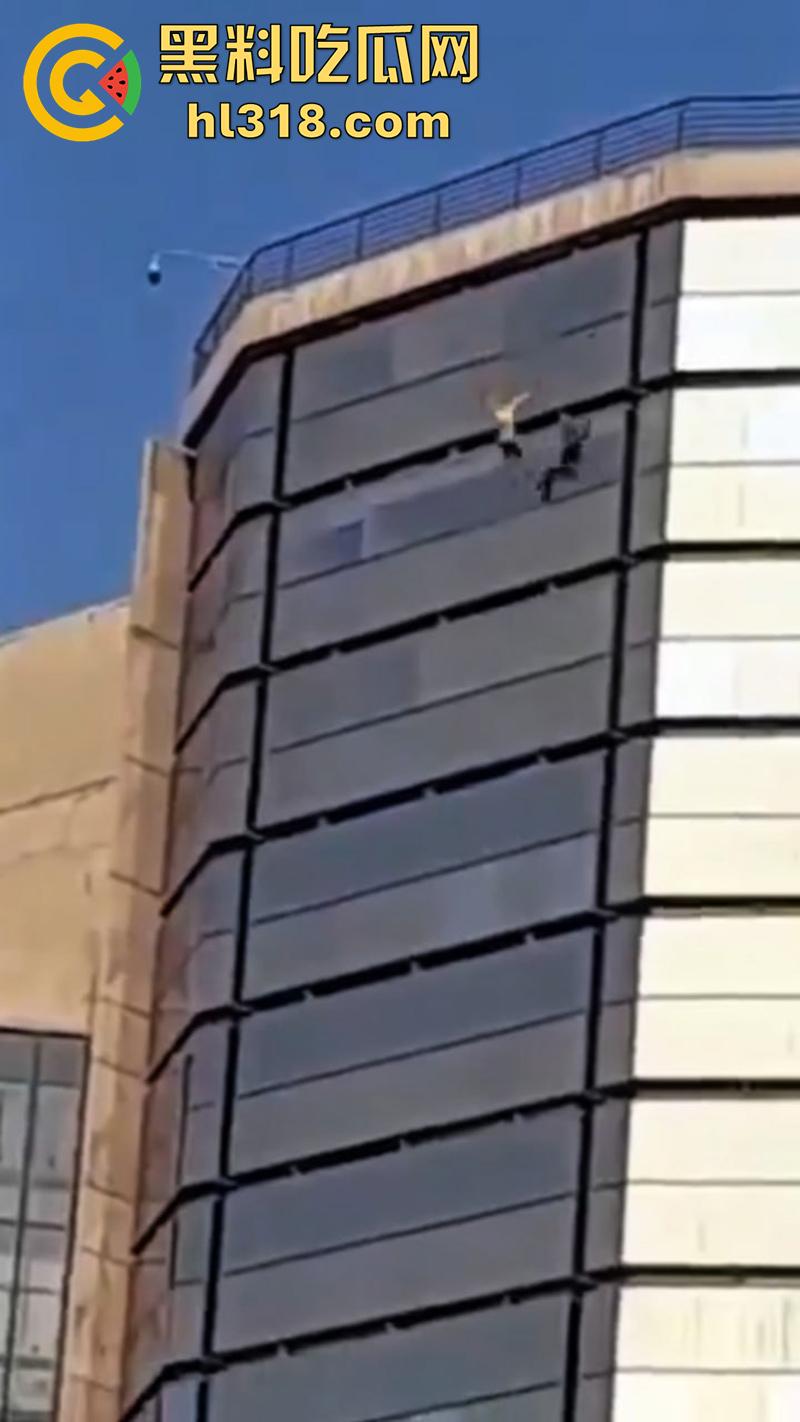 巴西男子跳楼现场，因所要医疗保险无果，直接跑到保险公司楼顶，几番犹豫后一跃而下！-7