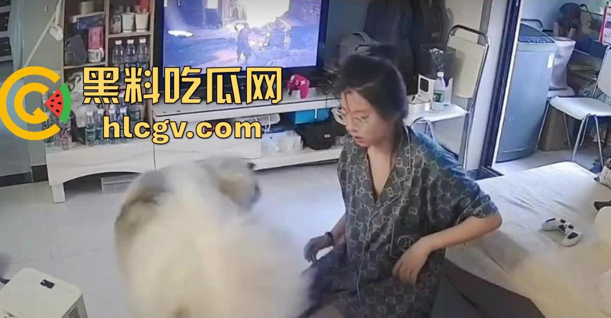 阿拉斯加趁女主人换手柄扑上去玩后入想日逼！妹子挣扎半天脱身，气得直发火！-3