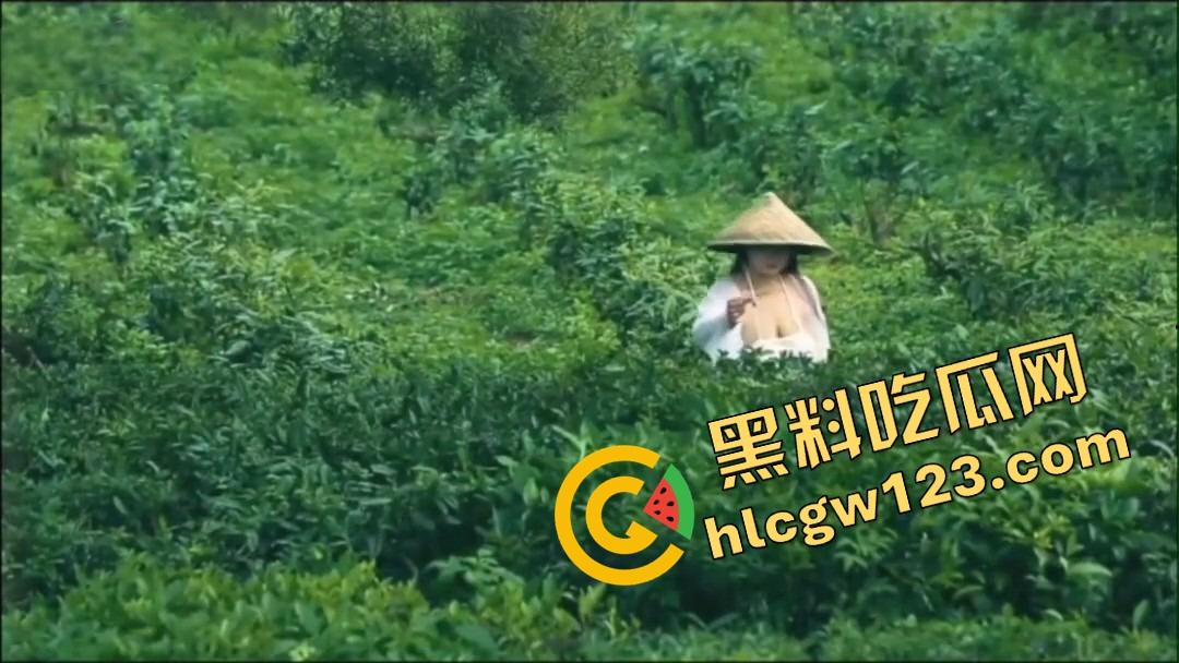 纯正奶茶现采现挤?真奶福建嫩茶打底,鲜得直流奶!那你喝的霸王茶姬,是工业冲泡的制服打工婊!-3