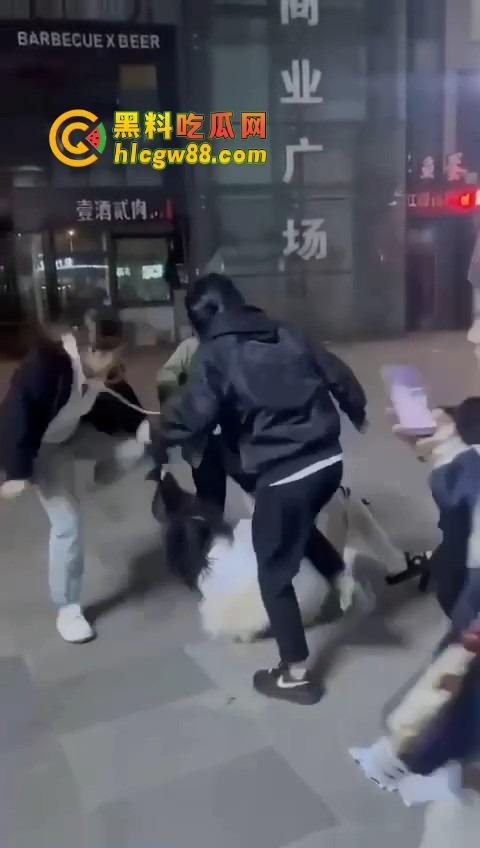 哈尔滨精神小伙大战精神小妹，化最丑的妆打最狠的架，地上全是血，社会摇直接进化成血战街头！-8