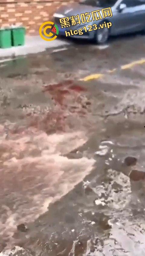 广东潮州发生恶性斗殴事件，一男子被当街砍死，另一人被警方当场抓获，凶手直接被判死刑！-6