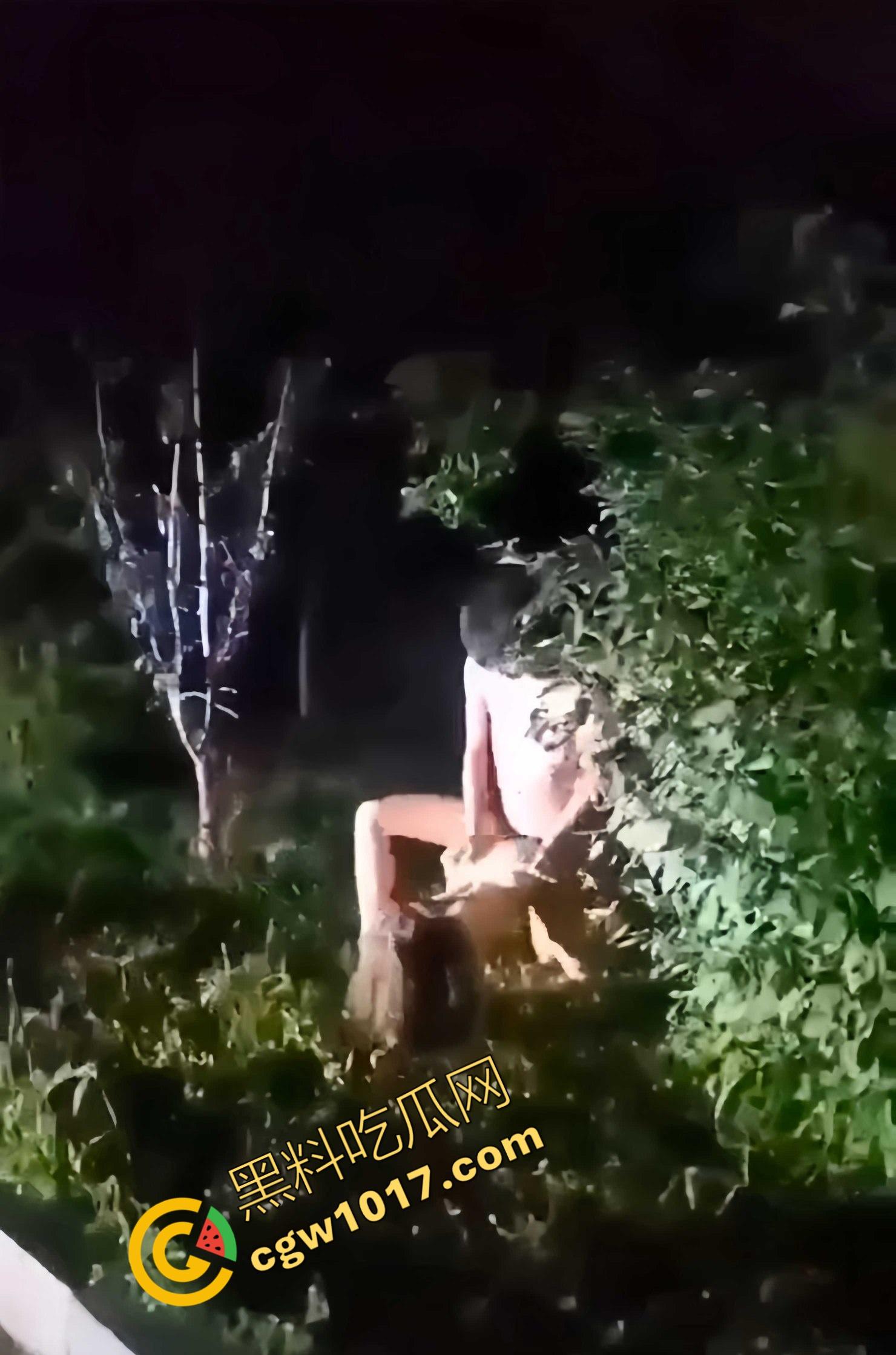 赤裸情侣路灯下野战！小哥疯狂后入，女友淫荡浪叫，惊爆路人眼球，视觉与听觉的双重冲击-5