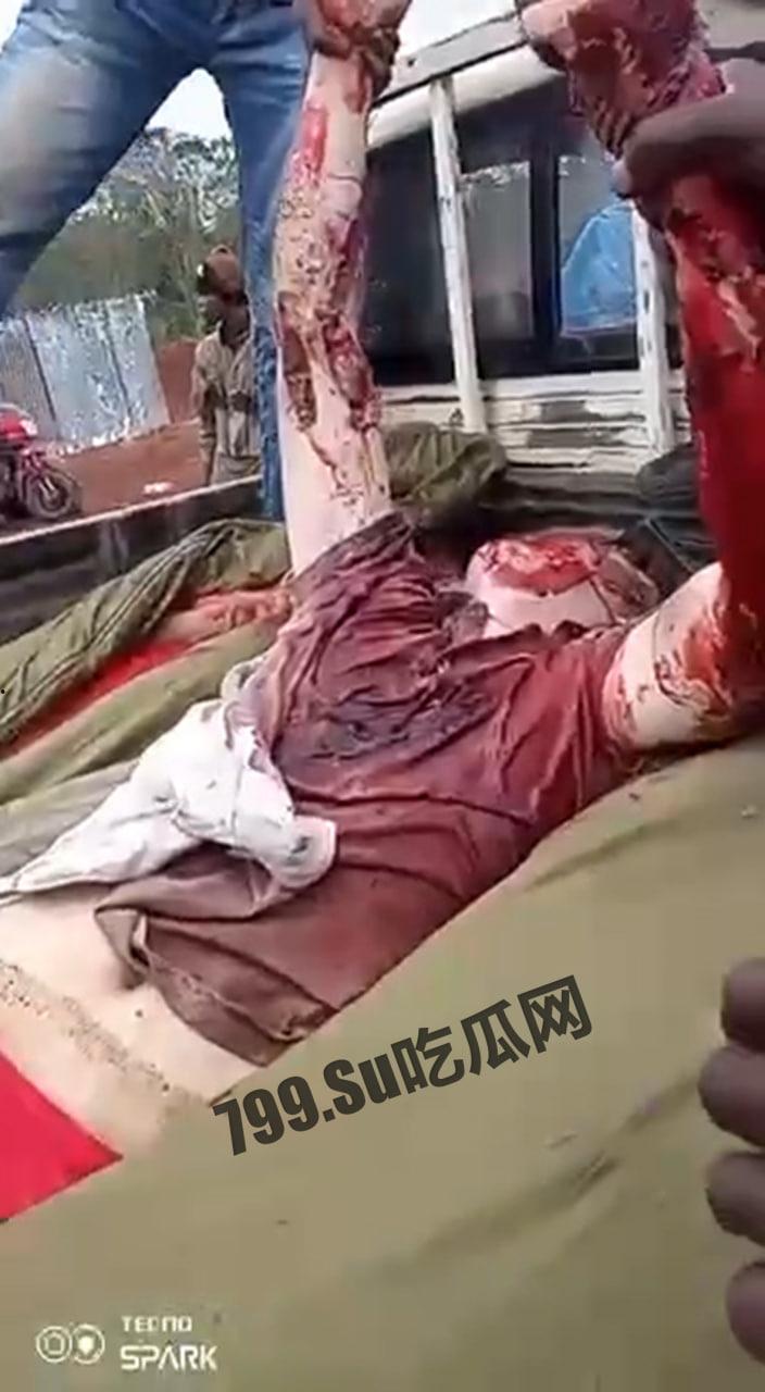 中非共和国金矿遇袭，九名中国人丧生，现场视频流出-1