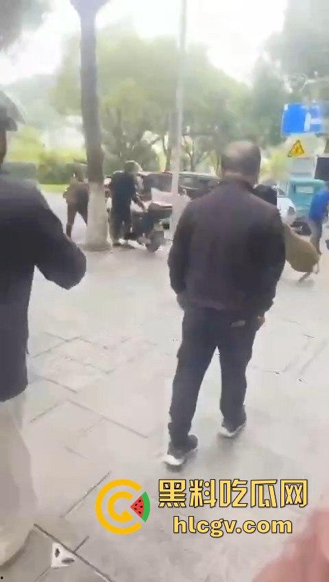 网友投稿浙江建德新安江惊现大野猪！早上9点横冲直撞，场面惊险万分！-7