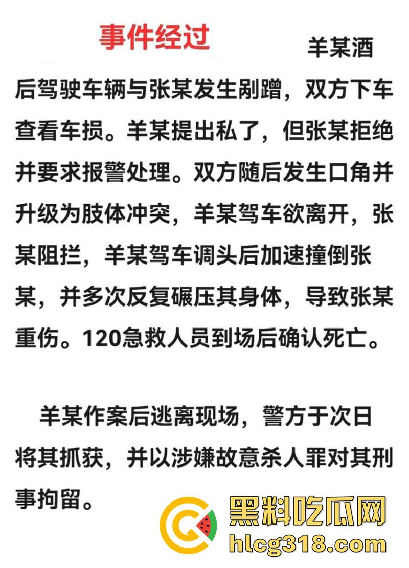 海南猛人路怒杀人，酒驾后与他人发生剐蹭，渴望私了被拒，将其撞倒反复碾压至其死亡！-2