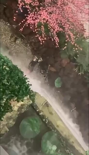 西安赛格跳楼事件 一女子从赛格 7 层坠入负二层 疑似与老公吵架一时想不开-3