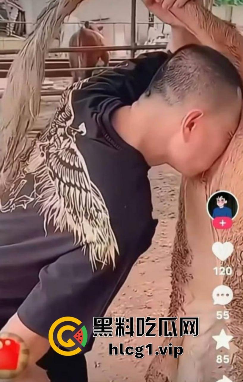 快手349万粉丝网红鬼马PK惨败，当场直播吃牛逼！果然快手就是个重口味大集合！-5