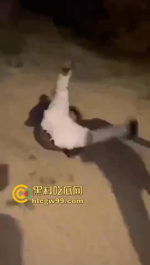 河南精神小伙线上嘴硬嚣张跋扈，线下衣服被脱光吊打，飞踢猛踹，互联网嘴炮被打得嗷嗷叫不敢还手！-8