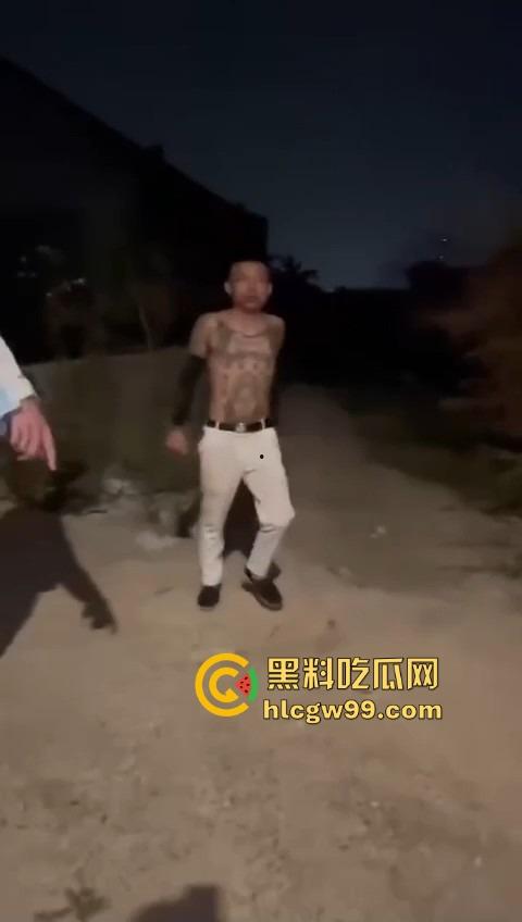 河南精神小伙线上嘴硬嚣张跋扈，线下衣服被脱光吊打，飞踢猛踹，互联网嘴炮被打得嗷嗷叫不敢还手！-11