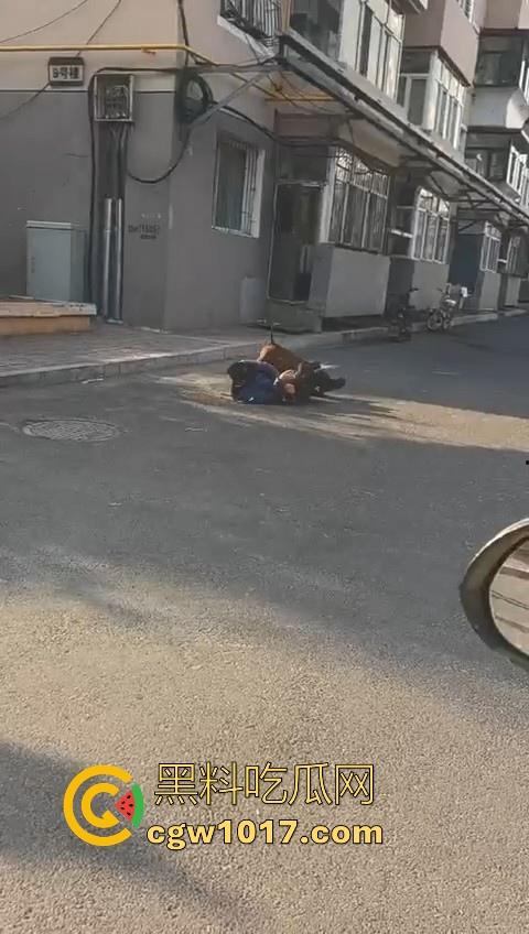 人狗街头大战！比特撕咬绝望老登，撕咬了一会主人拦开，狗子越想越气再次扑咬，不是路上这么多人就合着要这老头呗！-1