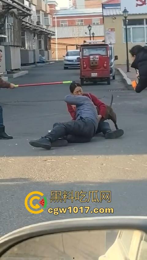 人狗街头大战！比特撕咬绝望老登，撕咬了一会主人拦开，狗子越想越气再次扑咬，不是路上这么多人就合着要这老头呗！-8