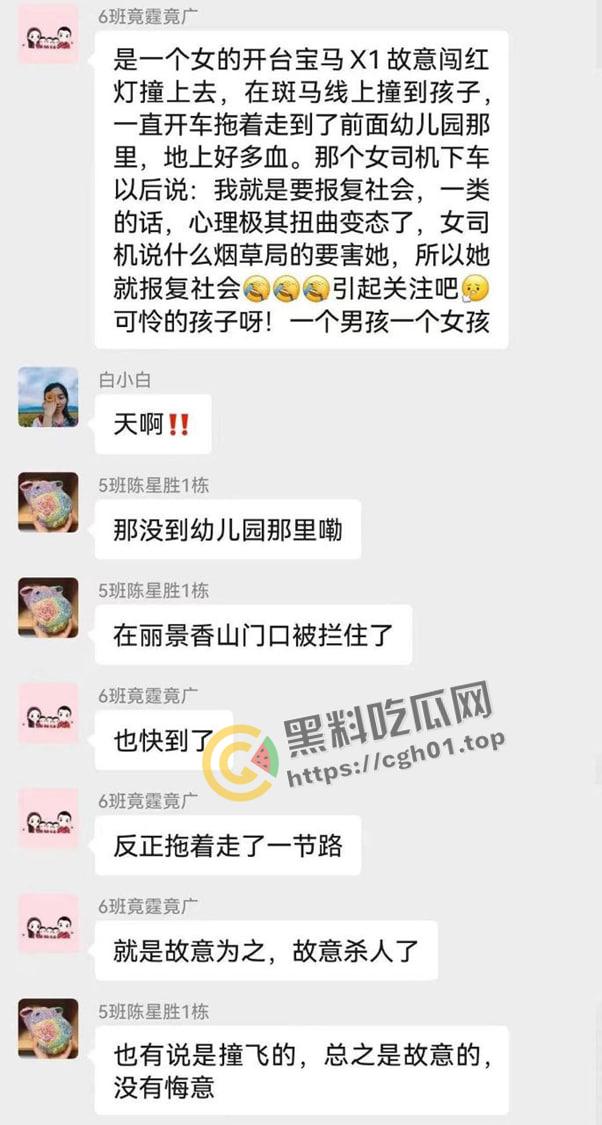 长沙宝马女因老公出轨报复社会 驾车冲撞幼儿园撞死多名儿童 现场视频流出-3